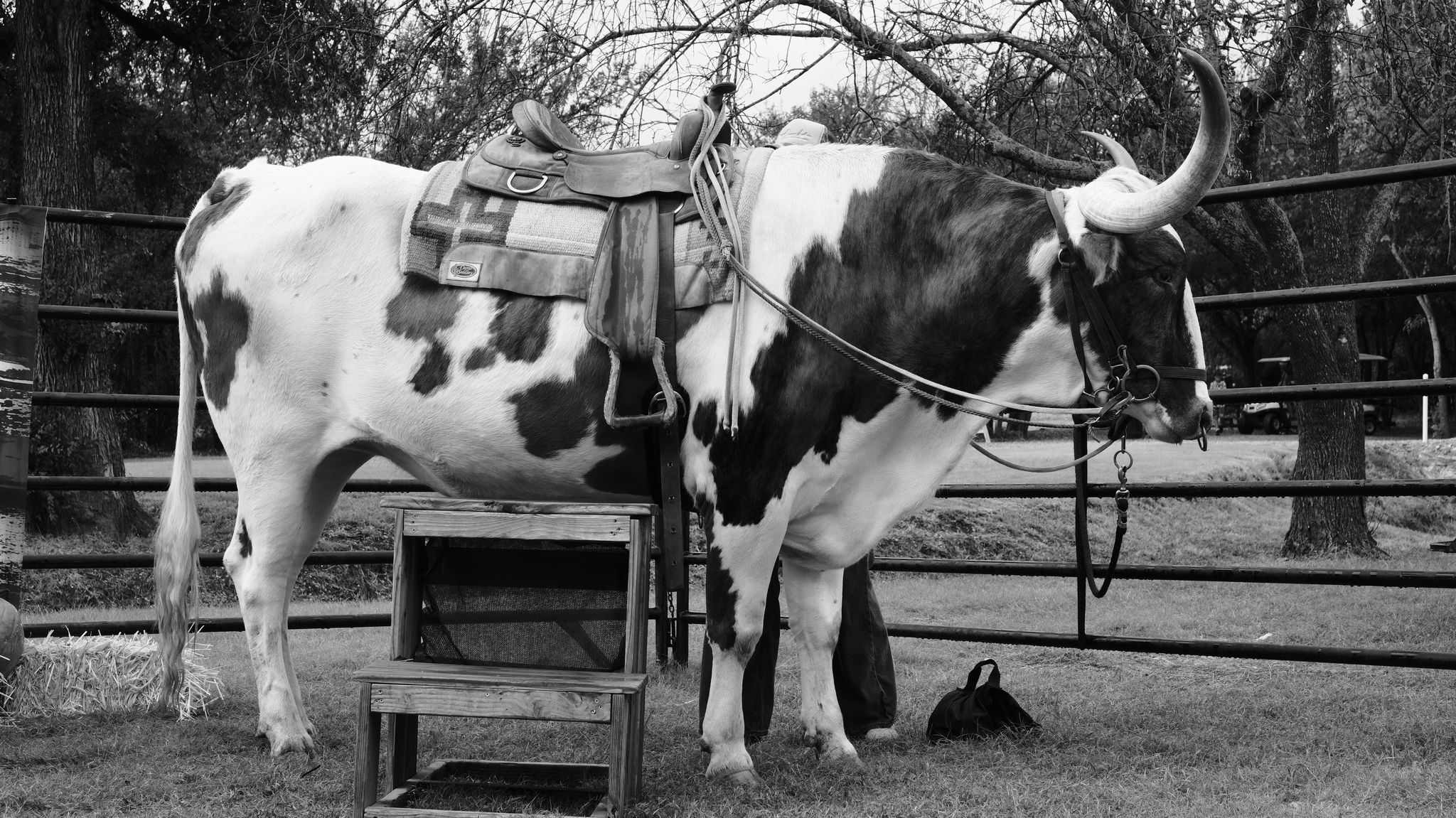 Community moment photo 1